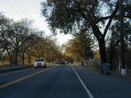 Wine Country road.  The drive we had in the country was good, but most of the vines had lost all their leaves for winter and the countryside was very brown and not overly pretty<br>Location: Sonoma Valley